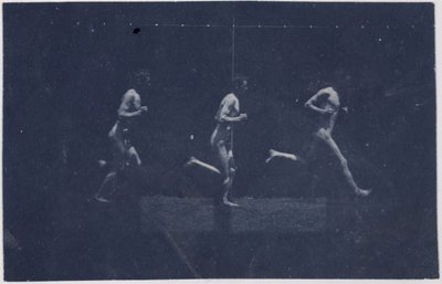 Marey Wheel Fotografie George Reynoldse, c. 1884. od Thomas Eakins