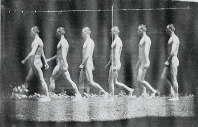 Marey Wheel Fotografie Jesse Godley, 1884. od Thomas Eakins