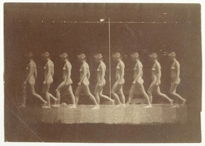 Fotografie Marey Wheel of Unidentified Model, 1884. od Thomas Eakins