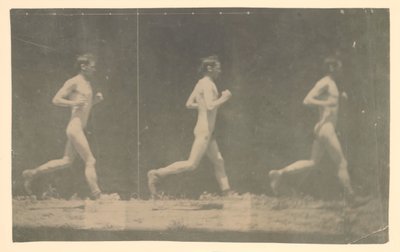 Fotografie Marey Wheel of Unidentified Model, 1884. od Thomas Eakins