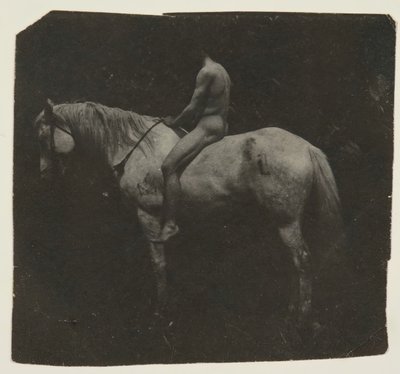 Samuel Murray kůň Astride Eakinsové Billy, c. 1892. od Thomas Eakins