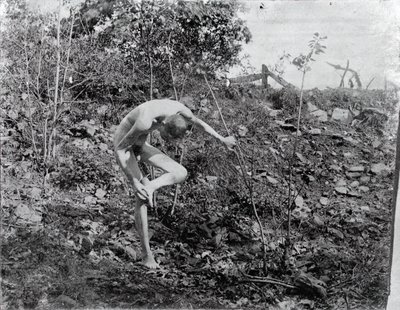 Trn Puller, c. 1883. od Thomas Eakins