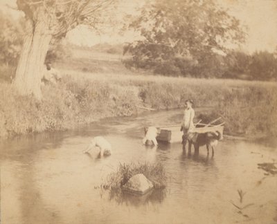 [Tři děti a pes si hrají v potoce, 4. července 1883], 1883., 1883. od Thomas Eakins