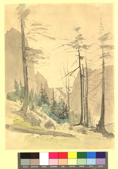  od Thomas Ender