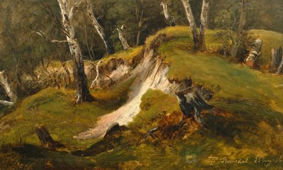 Zásoby Birck v Romsdalu od Thomas Fearnley