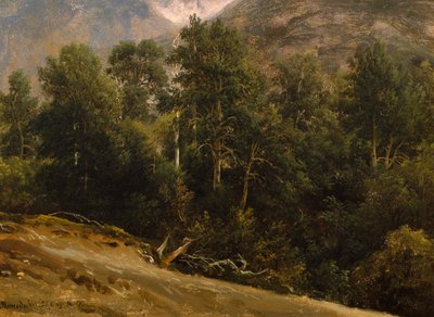 Les v Romsdalu od Thomas Fearnley
