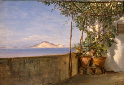 Terasa v Procidě od Thomas Fearnley