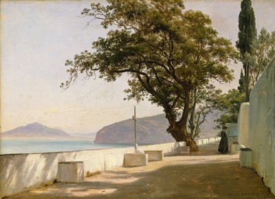 Terasa s dubem, Sorrento od Thomas Fearnley