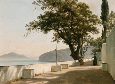 Terasa s kamenným dubem, Sorrento od Thomas Fearnley