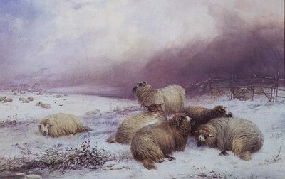 Zimní krajina s ovcemi od Thomas Francis Wainewright