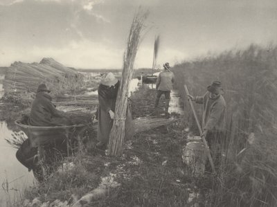 Během sklizně rákosu, 1886 (foto) od Thomas Frederick Goodall