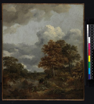 Krajina s bazénem, 1746-1747 od Thomas Gainsborough