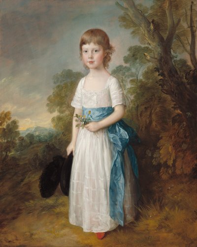 Mistr John Heathcote, c. 1771-72 (olej na plátně) od Thomas Gainsborough
