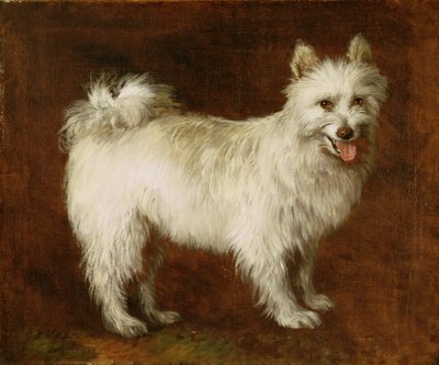 Špic, kolem 1760-70 (olej na plátně) od Thomas Gainsborough