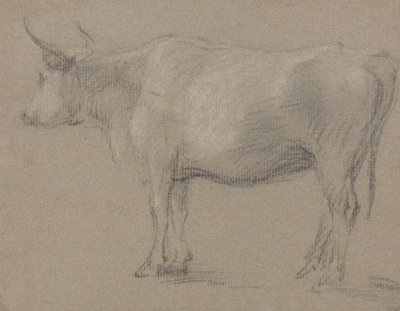 Studie krávy od Thomas Gainsborough