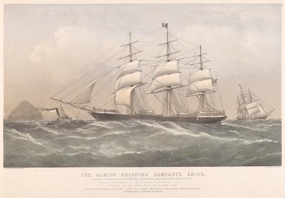 Lodě společnosti Albion Shipping Company (kolorovaná litografie) od Thomas Goldsworth Dutton