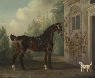 Lord Abergavenny Dark Bay kočárový kůň s teriérem od Thomas Gooch