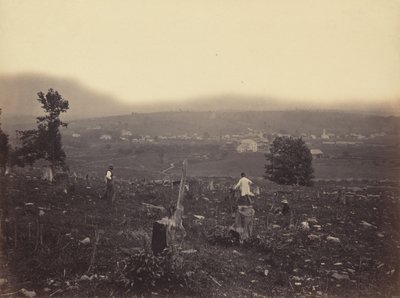 Waymart, Del. & Hudson Canal Co., c. 1863-1865. od Thomas H. Johnson