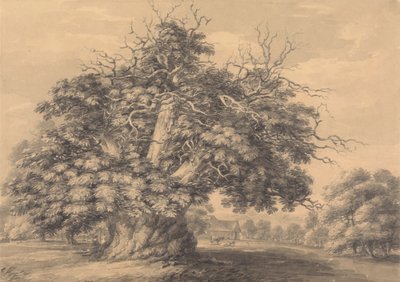 Chestnut Tree v Little Wymondley, Hertfordshire od Thomas Hearne