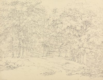 Stromy v parku Ashtead, Surrey od Thomas Hearne
