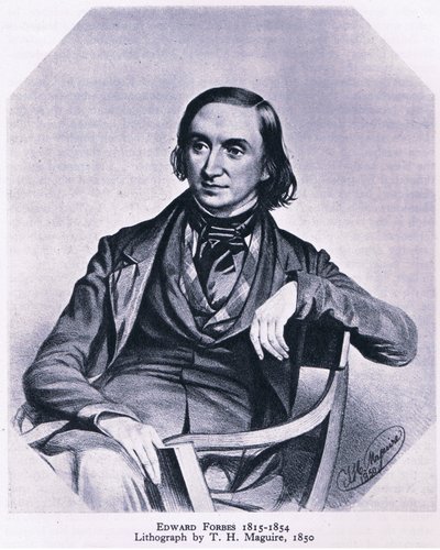 Edward Forbes (1815-1854), Nature in Britain publikoval Collins, 1946 od Thomas Herbert Maguire