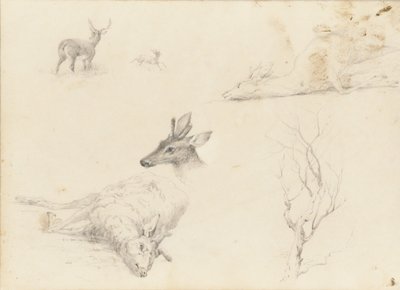 Náčrtník krajinných a živočišných předmětů, 1860-64. od Thomas Hewes Hinckley