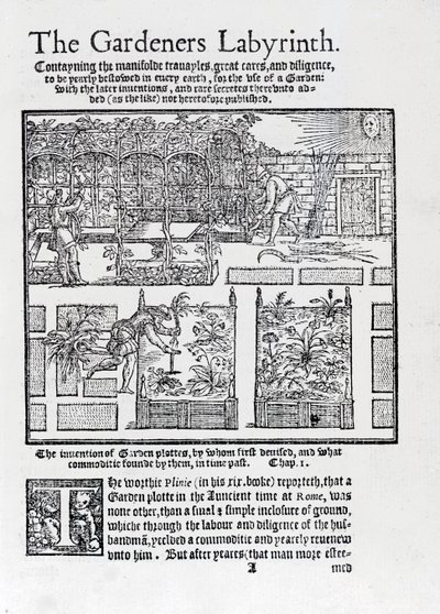 Altán postavený jako stín proti slunci a výsadba na vyvýšených záhonech, z The Gardeners Labyrinth, 1577 od Thomas Hill