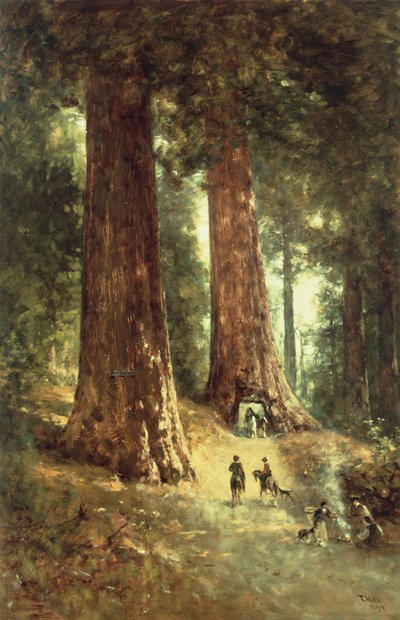 V Redwoods, 1899 od Thomas Hill