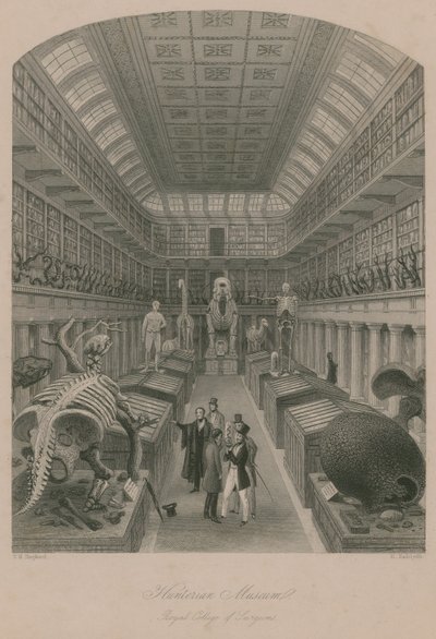 Hunterian Museum, Royal College of Surgeons, Londýn od Thomas Hosmer Shepherd