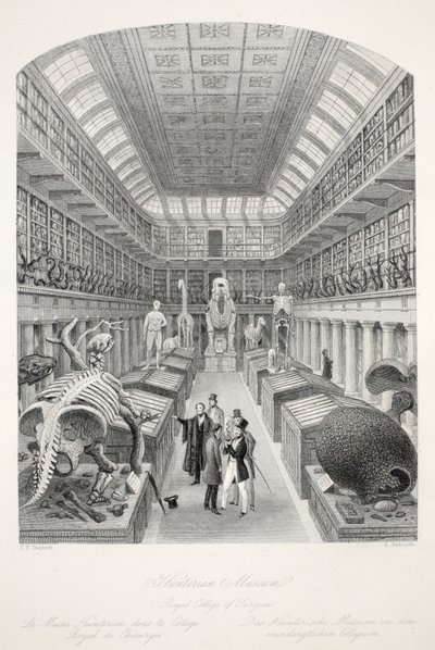 Hunterian Museum, Royal College of Surgeons, z hospody 
