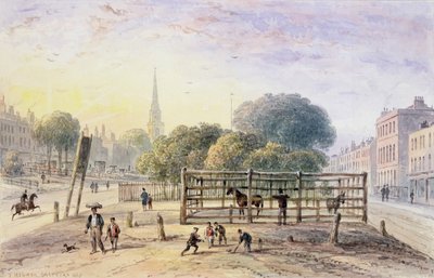 Pohled na Islington Pound, 1850 od Thomas Hosmer Shepherd