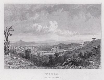 Wells, Somersetshire (rytina) od Thomas Hosmer Shepherd