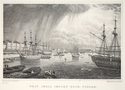 West India Docks, Isle of Dogs, z Londýna a jeho okolí v hospodě Devatenáctého století. Jones und Co., 1827-1829 od Thomas Hosmer Shepherd