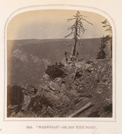 "Wahwonah" - Nebo Big Tree Point od Thomas Houseworth