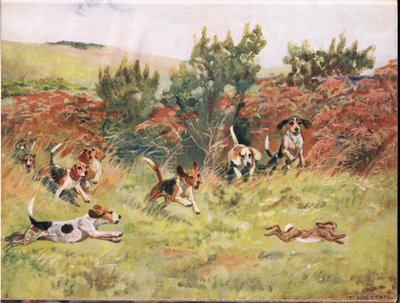 Hon na zajíce, ilustrace z 