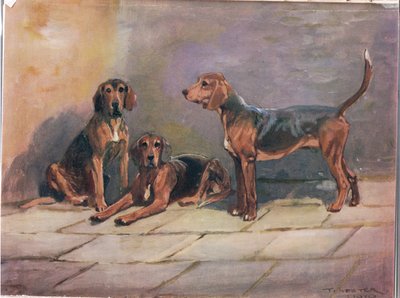 Psi, ilustrace z 
