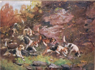Through the Undergrowth, ilustrace z 
