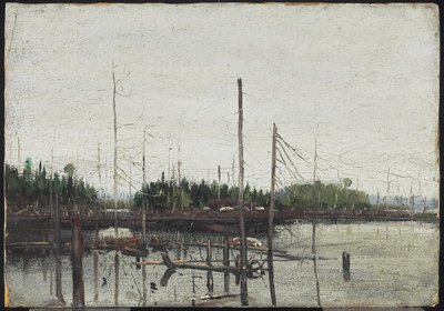 Drowned Land, 1912 (olej na papíře (s reliéfní texturou plátna) na dřevě) od Tom Thomson