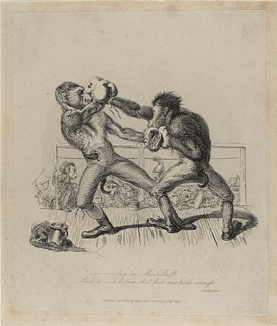 Opice Boxing, od Monkey-ana od Thomas Landseer