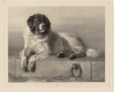 Portrét záchranářského psa Boba, ležícího na molu Významný člen Humane Society (titul na předmětu) od Thomas Landseer