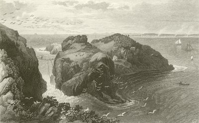 Carrick A Rede, pobřeží Antrim, Irsko od Thomas Mann Baynes