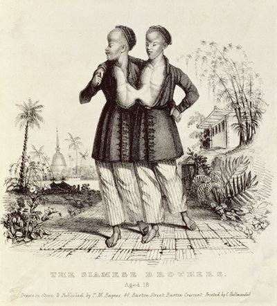 Siamští bratři, 18 let, tisk Charles Hullmandel (1789-1850), kolem 1829 od Thomas Mann Baynes