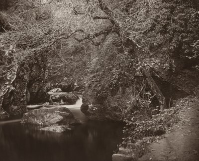 Dargle Hole, c. 1865. od Thomas Marcus Brownrigg
