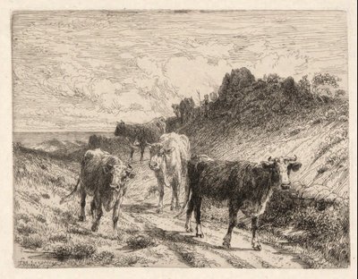 Krávy od Thomas Moran