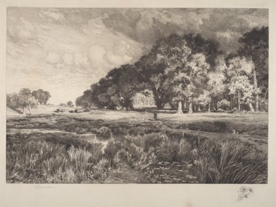 Krajina na Long Islandu od Thomas Moran