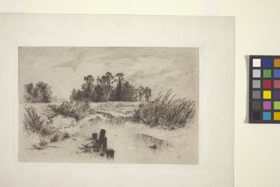 Bažinatá krajina s potokem (lept na papíře) od Thomas Moran