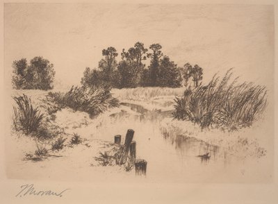 Passaic Meadows (In the Newark Meadows) od Thomas Moran