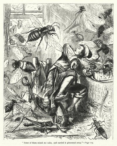 Ilustrace pro Gulliver
