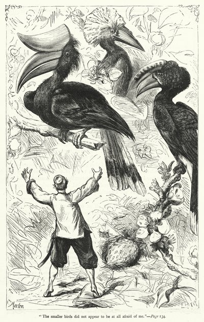 Ilustrace pro Gulliver