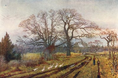  od Thomas Mower Martin